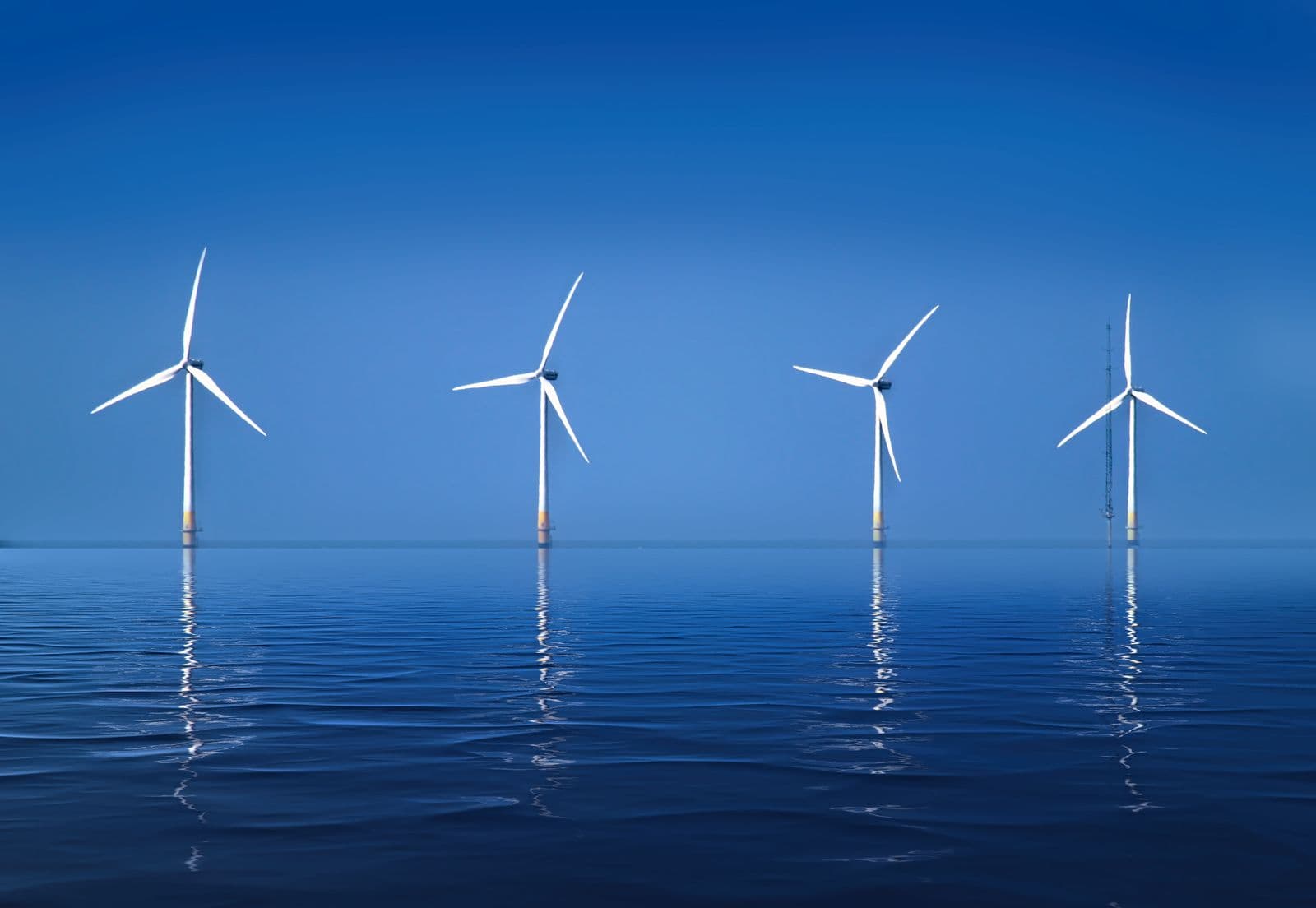 Renewable Energy Sector Growth and Staffing Needs